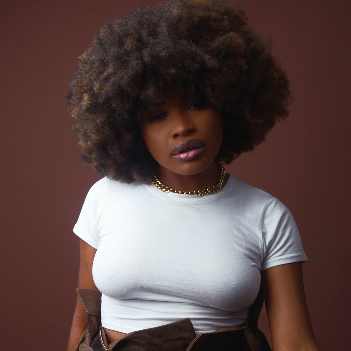 explore African Music,music professional,subscriptions